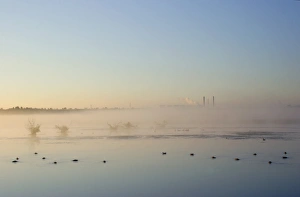 UK Countryside Scenery Drucke: View of misty pool with ducks and distant powerstation