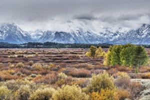 Fall Foliage In USA Drucke: View of mountain range and trees in autumn colour