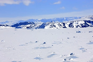 Weddell Sea Landscape Drucke: View of pack ice and snow covered mountains