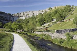 Yorkshire Countryside Views Drucke: View of path beside stream, drystone walls