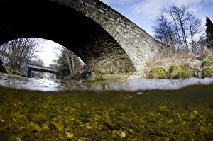 Scottish River Landscape Drucke: View of river and bridge from above and below surface of water