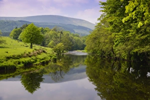 Ansicht des Flusses und der Uferbäume, River Hodder, Whitewell, Forest of Bowland, Lancashire, England, Juni.