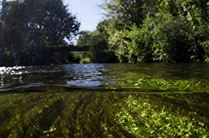 Water Surface Reflection Photography Drucke: View of river from above and below surface of water