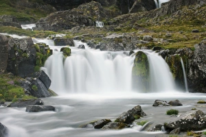 Icelandic Fjord Landscapes Drucke: View of river and waterfall, Dynjandi, Dynjandi River, Westfjords, Iceland, July