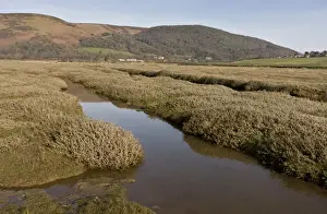 Exmoor National Park Drucke: View of saltmarsh habitat developing as shingle ridge has been breached