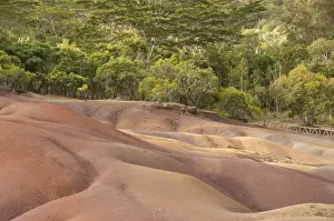 Blick auf Sanddünen mit verschiedenen farbigen Sandschichten, die durch zerstorbene Basaltgräben fehlertischer Böden verursacht werden. Die rote Farbe wird durch Eisen sesquioxyde und die blaue durch Aluminium sesquioxyd verursacht. Siebenfarbige Erde, Chamarel
