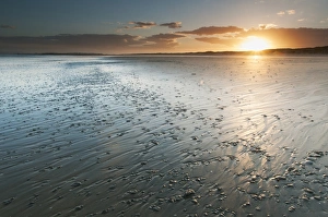 Camber Sands Beach Drucke: View of sandy beach during low tide at sunset, Camber Sands, East Sussex, England, June