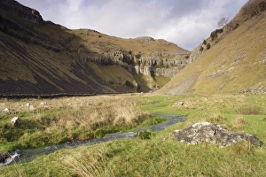 England Countryside Images Drucke: View of stream flowing along valley bottom