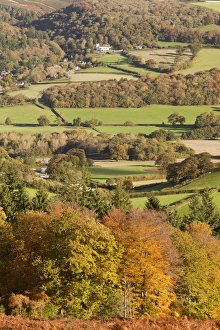 English Countryside Autumn Drucke: View of trees in autumn colour