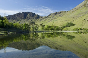 Cumbria England Landscape Drucke: View of trees and fells reflected in lake