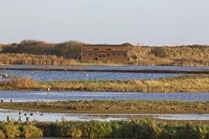 European Coastal Nature Drucke: View from West Hide across scrape towards East Hide