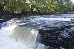 Yorkshire Dales Scenic Views Drucke: Waterfall (Middle Falls) on River Ure