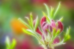Vorwort, Hintergrund