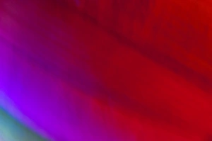 Colorful Backgrounds Drucke: Abstract Light Pattern