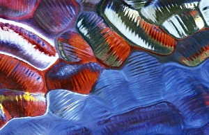 Colorful Abstract Patterns Drucke: Abstract Pattern in Glass