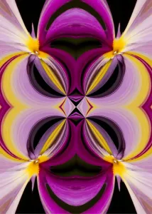 Abstract Art Photography Drucke: Abstract design