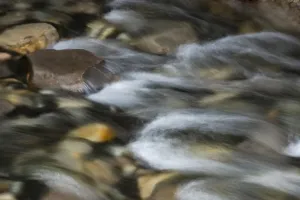 Canadian Nature Scenery Drucke: Canada, Alberta. Detail of river rocks and stream, Johnston Canyon, Banff National Park