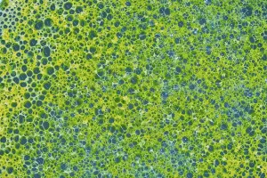 Seufzige Textur