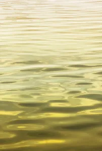 Wasser Drucke: Ozeanwelle abstrakt