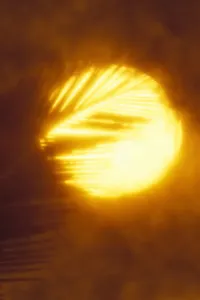 Bilder Datiert 31. Mai 2018: Palmbaum und Sonnenuntergang abstrakt