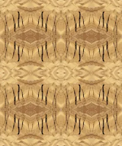 Abstract Art Photography Drucke: Tan and brown abstract