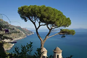 Bäume Drucke: Küste der Amalfi-Küste, Ravello, Kampanien, Italien