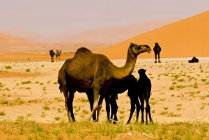 Asien, Oman