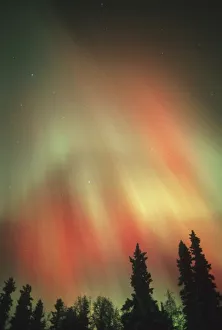 Northern Lights Alaska Drucke: Aurora Borealis