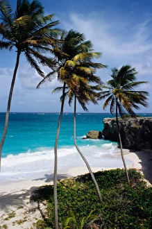 Barbados Beach Drucke: Barbados. Bottom bay