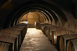 Oak Barrel Storage Drucke: The barrel aging cellar with lines of barriques and dramatic lighting. Chateau Mourgues