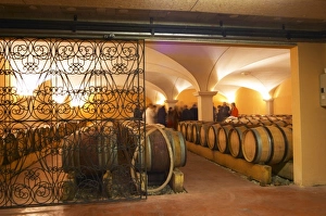 European Wine Production Drucke: The barrel aging cellar with vaulted celing. Domaine Gilles Robin, Les Chassis, Mercurol