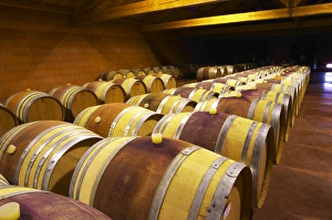 Oak Barrel Storage Drucke: The barrel aging cellars with rows of oak barrels. All are painted red