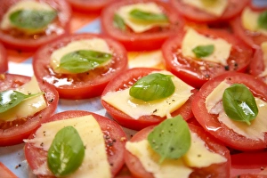 Fresh Basil Recipes Drucke: Basil, Cheese and Tomato Snacks