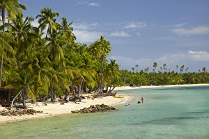 South Pacific Island Getaway Drucke: Beach, palm trees and beachfront bures, Plantation Island Resort, Malolo Lailai Island