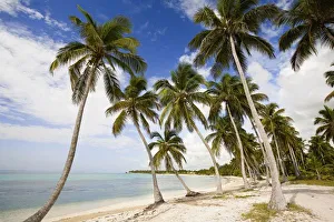 Punta Cana Beach Drucke: Beach at Punta Cana