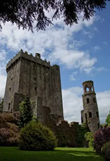 Burg Blarney Drucke: Das Blarney Schloss im Umfeld von farblich gestalteten