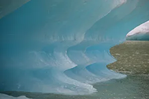 Global Warming Effects On Glaciers Drucke: Blue iceberg glows in Shakes Lake