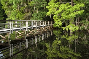 Florida Landscape Photography Drucke: bridge with reflection over Suwanee River