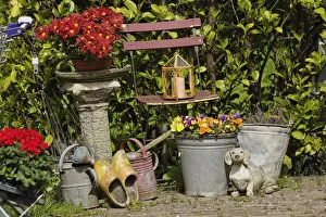 Colorful Flower Arrangements Drucke: Buckets, shoes