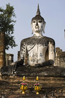 Drucke von Buddhas Bilder Datiert 2007 November: Buddhas