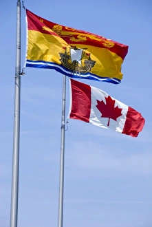 Kanada, Neubraunschweig; Flagge von Neubraunschweig