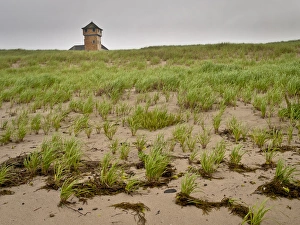 Cape Cod National Seashore Photos Drucke: Cape Cod dunes, Massachusetts
