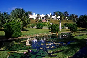 Caribbean Landscape Drucke: Caribbean, Bermuda, Devonshire Parish, Palm Grove Gardens. Reflecting pool with unique