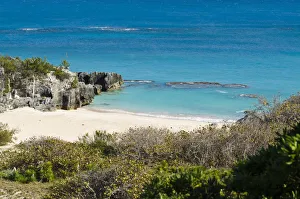 Bermuda Beaches Drucke: Chaplin Bay beach, Bermuda