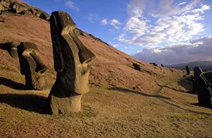 Easter Island Scenic Views Drucke: Chile, Easter Island. Hillside with Moai statues