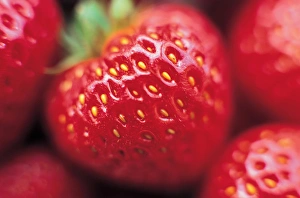 Close Up Strawberry Drucke: Close up of Strawberries