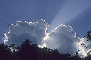 Cloudy Weather Drucke: Clouds