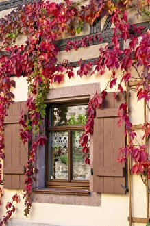 Saxony Europe Travel Drucke: Colditz, Germany