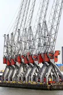 Rotterdam Port Drucke: Cranes used for loading and unloading containers at the Port of Rotterdam, Netherlands