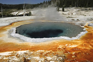 Upper Geyser Basin Drucke: Crested Pool, Upper Geyser Basin, Yellowstone National Park, Wyoming, USA